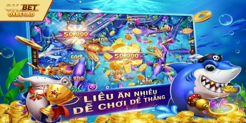 Tiêu chí nào là dấu hiệu bạn nên chọn